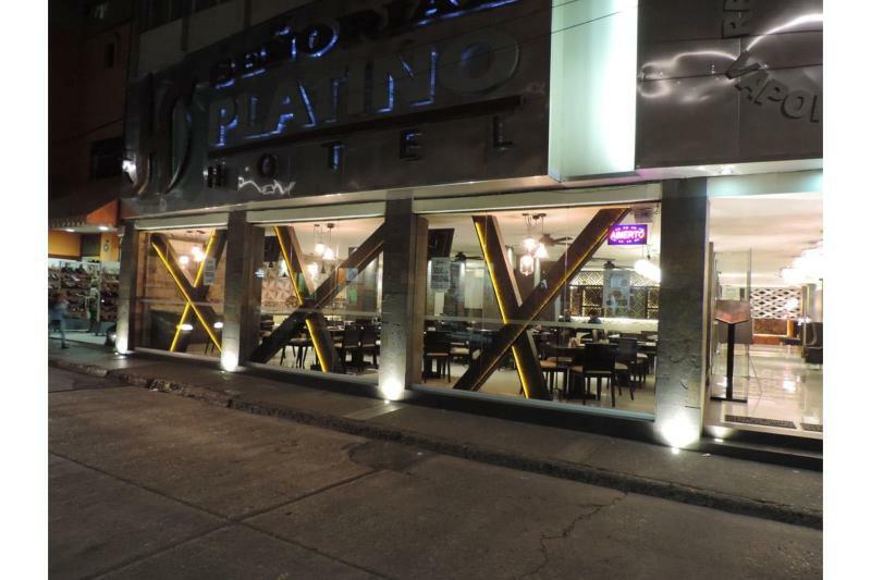 Hotel Senorial Platino 莱昂 外观 照片