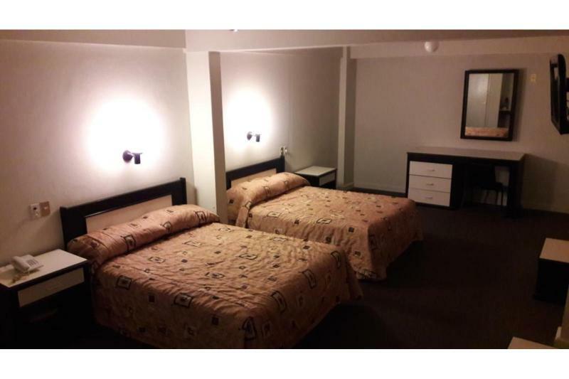 Hotel Senorial Platino 莱昂 外观 照片