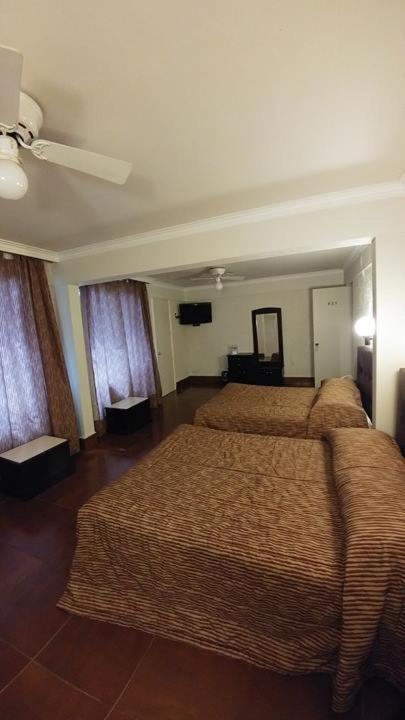 Hotel Senorial Platino 莱昂 外观 照片